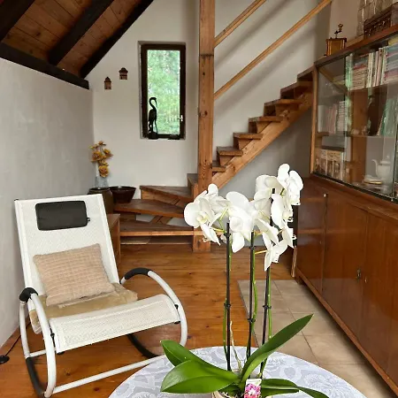 Tatil Evi U Suchanku *